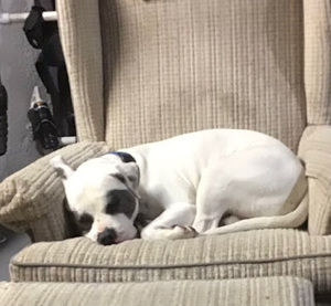 Meet your Posher, Katelyn